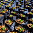 100PCS épaissit sacs de pépinière sacs de croissance de plante Pots de semis sacs de plantation de fleurs-2