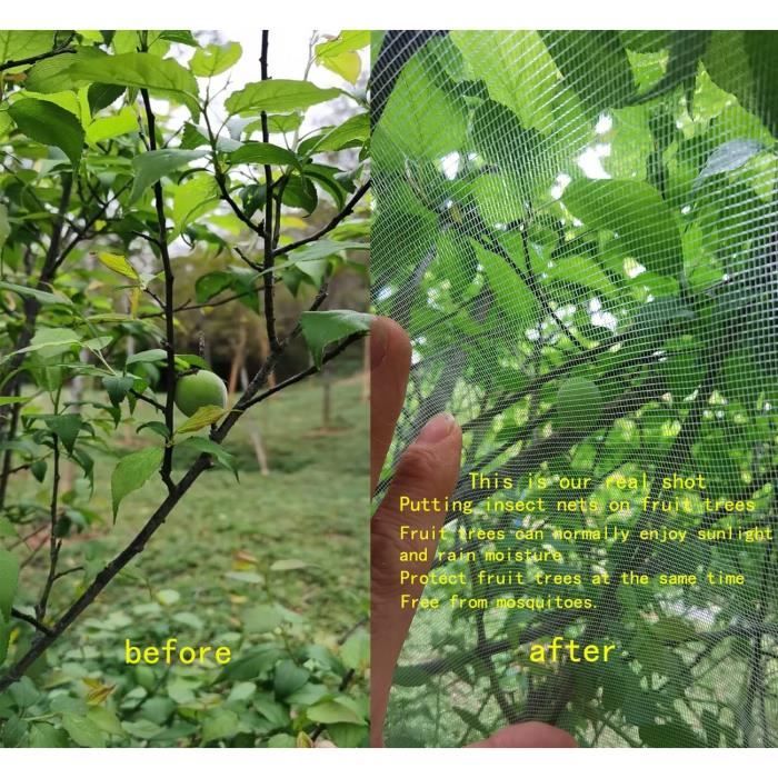 MAILEKT Filet pour Arbre Fruitier, 180 X 180 cm Filet de Protection Contre  Les Insectes, Filet Anti Insecte avec Cordon et Fermeture éclair :  : Jardin