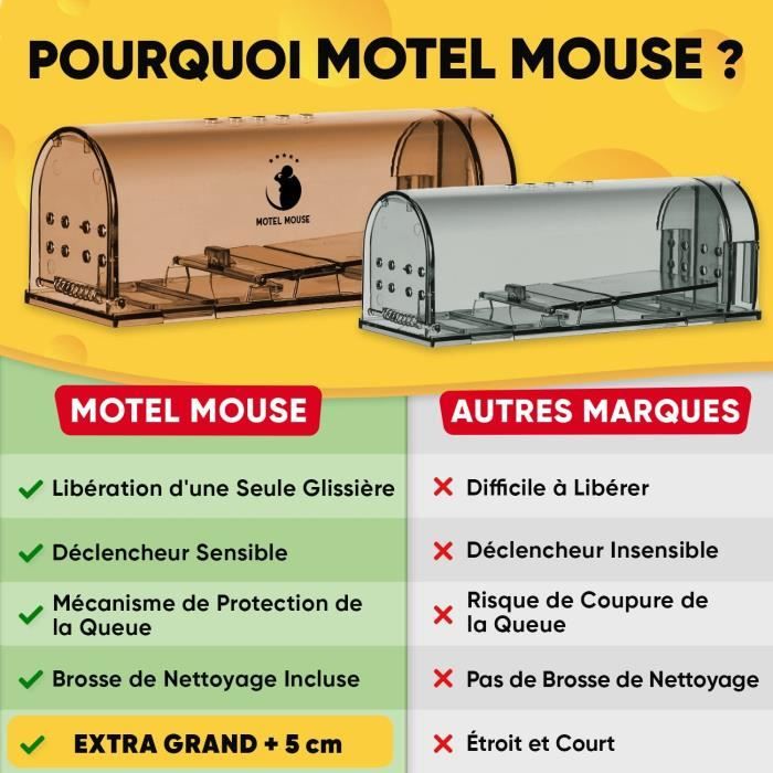 Piege a Souris Vivante Réutilisable sans Danger pour Enfants et Animaux — free download