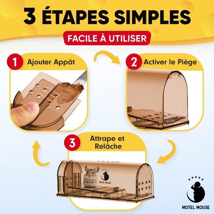 Piege a Souris Vivante Réutilisable sans Danger pour Enfants et Animaux — free download