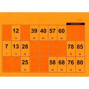 Loto Bingo 6 Grilles de loto sur une plaque en carton epaisseur 1 mm bleu  Materiel accessoire Joueur Kit planche et carte tigre - Cdiscount Jeux -  Jouets
