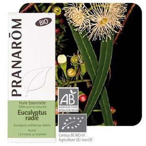HUILE ESSENTIELLE Pranarom Huile Essentielle Bio Eucalyptus Radié 10ml