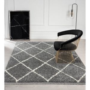 TAPIS Tapis Moderne Extra Doux - Woolly Shaggy  - Gris -