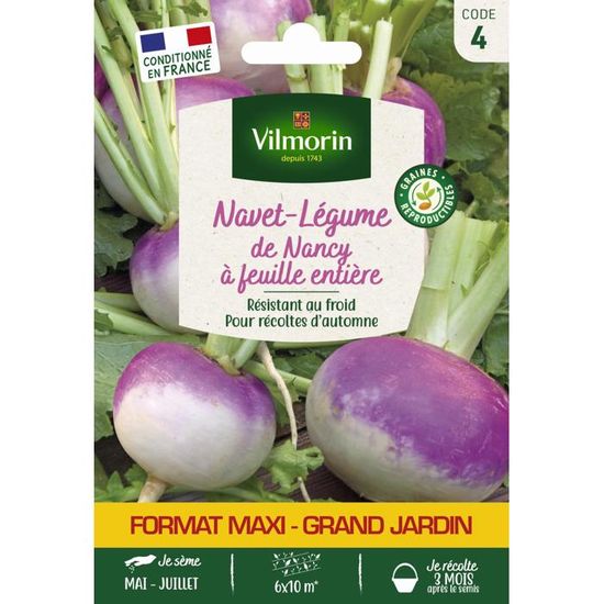 Graines De Navet De Nancy à Feuille Entière - Sachet De 500 Graines - Variété Productive Et Résistante Au Froid - Pour Potager - 11