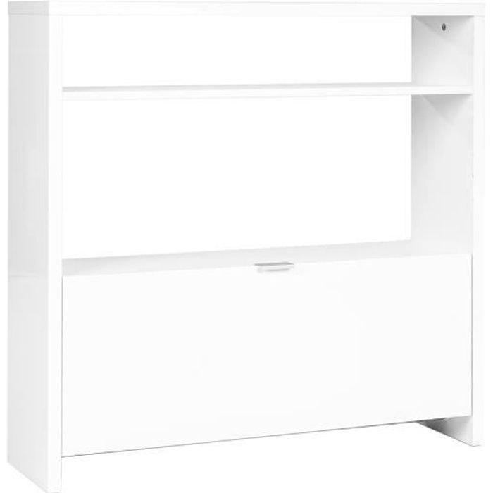 MEUBLES COSY Meuble Armoire à Chaussures avec Abattants et étagères, Étagère à chaussures en fibres de bois - 93 x 25 x 91 cm