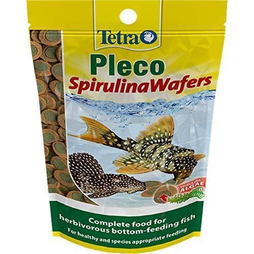 Tetra Pleco nourriture pour