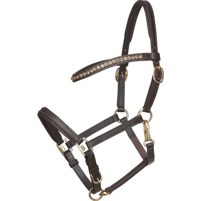Meilleurs prix pour Licol pour cheval en cuir poulin HorseGuard - Marron - Full