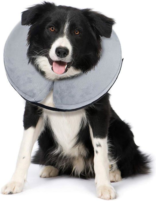Collerette Gonflable Pour Chien Et Chat - Anti-Léchage, Post-Opératoire - Léger Et Confortable, Couleur Arc-en-Ciel