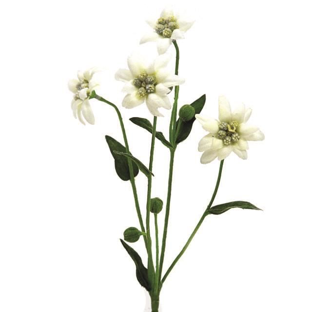 Vaporisateur artificiel de fleurs d'Edelweiss - 32 cm - Fausses fleurs  blanches - Plantes crème - Cdiscount Maison