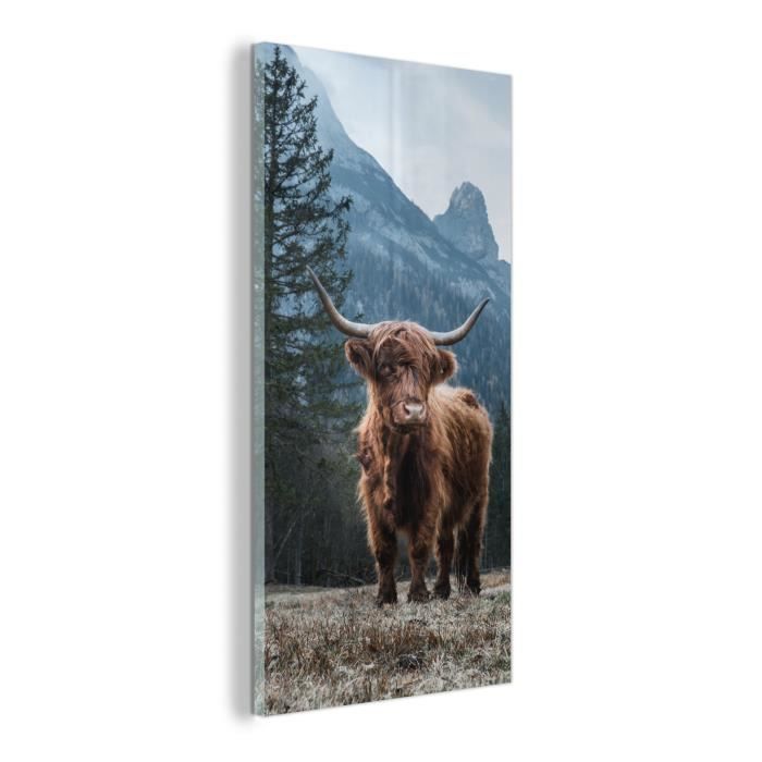 Poster de Porte - MuchoWow - 95x235 cm - Highlander écossais Cornes Animaux Nature Sauvage Vache