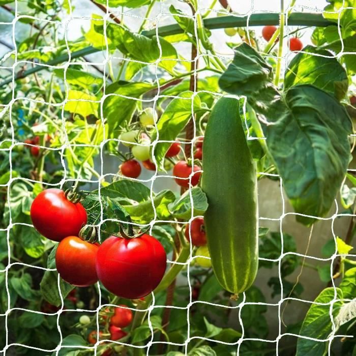 Filet à Ramer GardenGloss – Grands Maillages De 10 Cm Pour Concombres, Tomates Et Plantes Grimpantes – 2,5 M X 2 M
