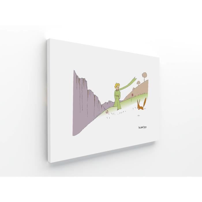 Décoration Murale Moderne DST0033 - Le Petit Prince et le Renard regardent  les étoiles - Tableau Déco pour enfant - Printadeco – Printadeco-SAS