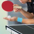 Table de tennis de table et accessoires - 10039453-0-2