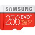 SAMSUNG Carte mémoire flash EVO Plus MB-MC256G - 256 Go - UHS-I U3 / Class10-0