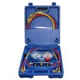 Coffret By-pass 2 voies complet avec voyant TF-VMG-2-R410AA - TEDDINGTON - VMG2R410AA - Bleu