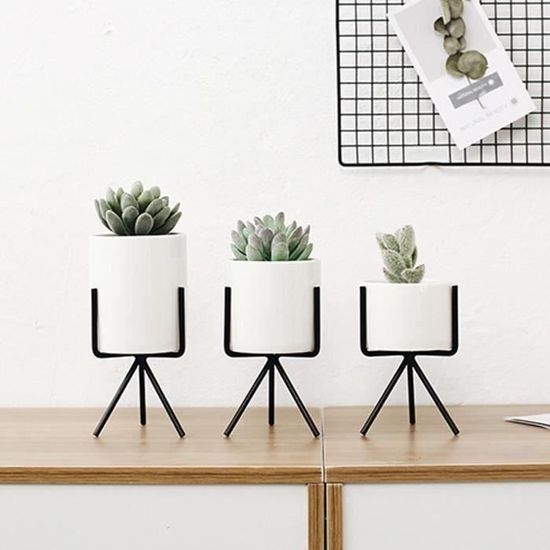 Chat Creusez La Grille De Pot De Plante De Plante, Protection De La