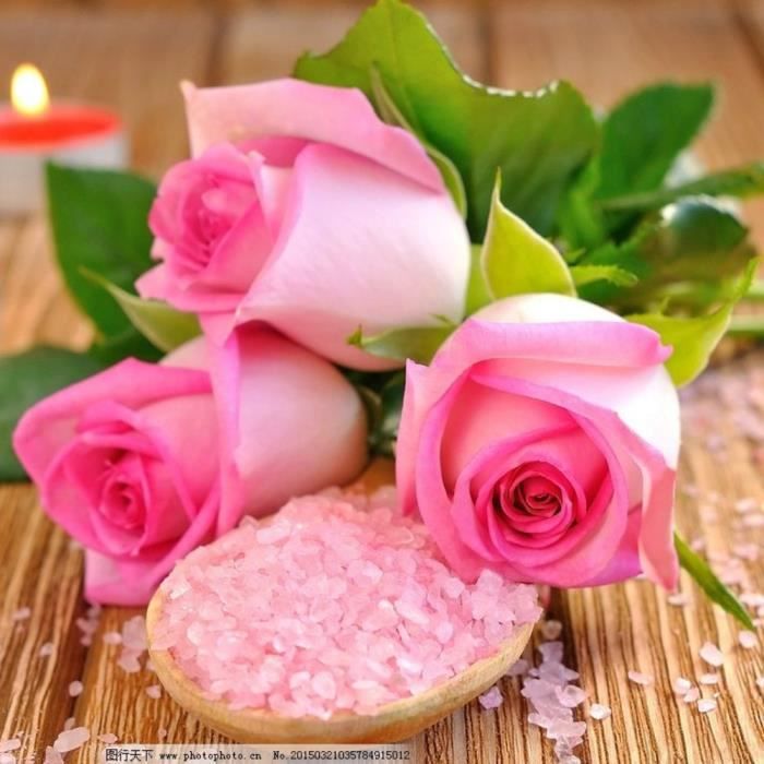 100 Pcs Rose Graines Rose Rose Fleur Plantes Jardin Bonsaï Plantes Vivaces Fleur Graine