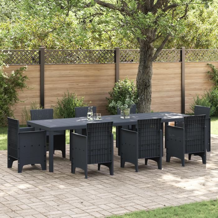 Table de jardin - Anthracite - 300x100 cm - Métal et Aluminium - 10 personnes