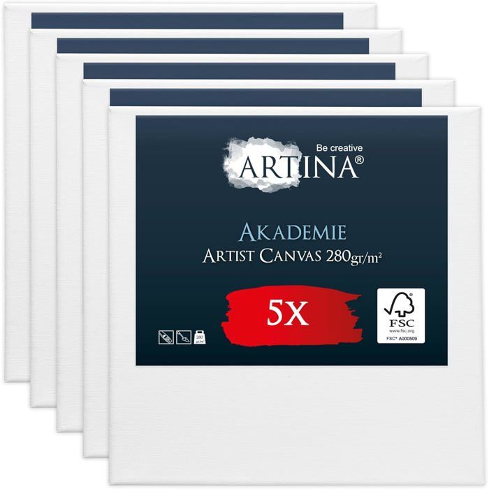 Artina Lot De 5 Toile A Peindre 60x60cm 280g M Akademie Appretee 2 Fois Chassis Entoile Qualite Fine Achat Vente Chassis De Toile Artina Lot De 5 Toile A Pei Cdiscount