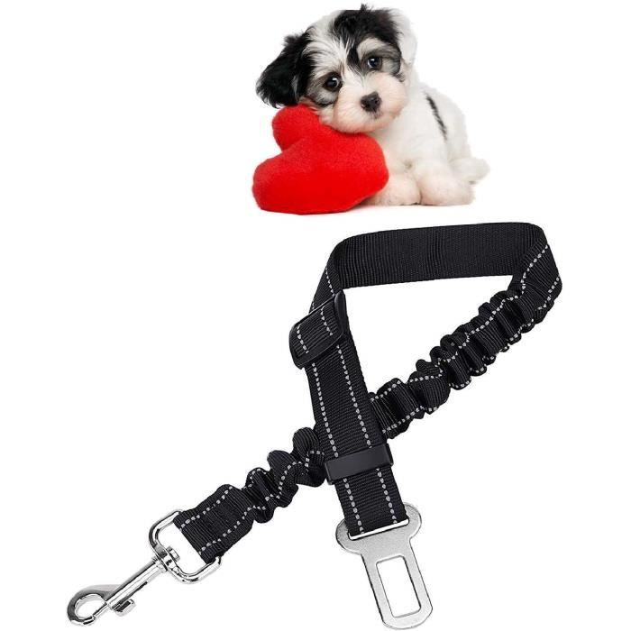 ceinture securite chien voiture