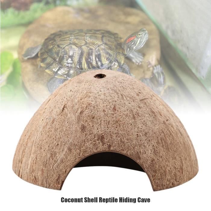 Nouvelle Cachette Pour Reptiles, Habitat Naturel En Coquille De Noix De Coco Pour Lezards Araignees Et Petits Animaux~p179814605
