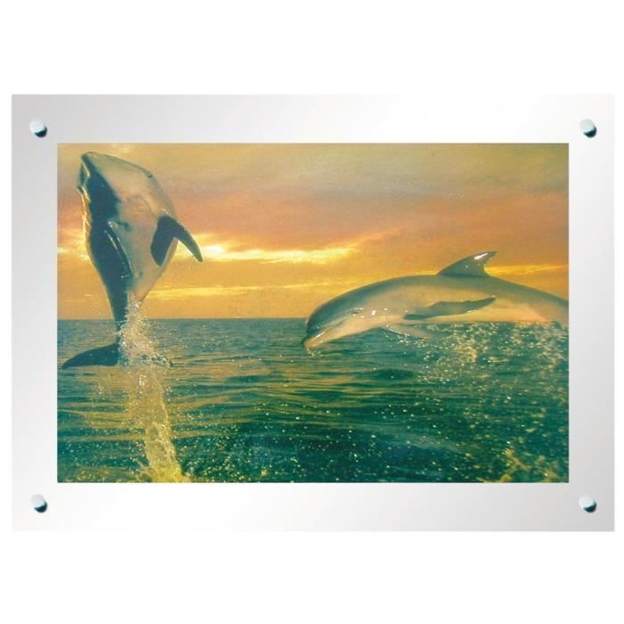 tableau dessin dauphin effet decor cadre avec la lumiere etame globo 28355rti cdiscount maison