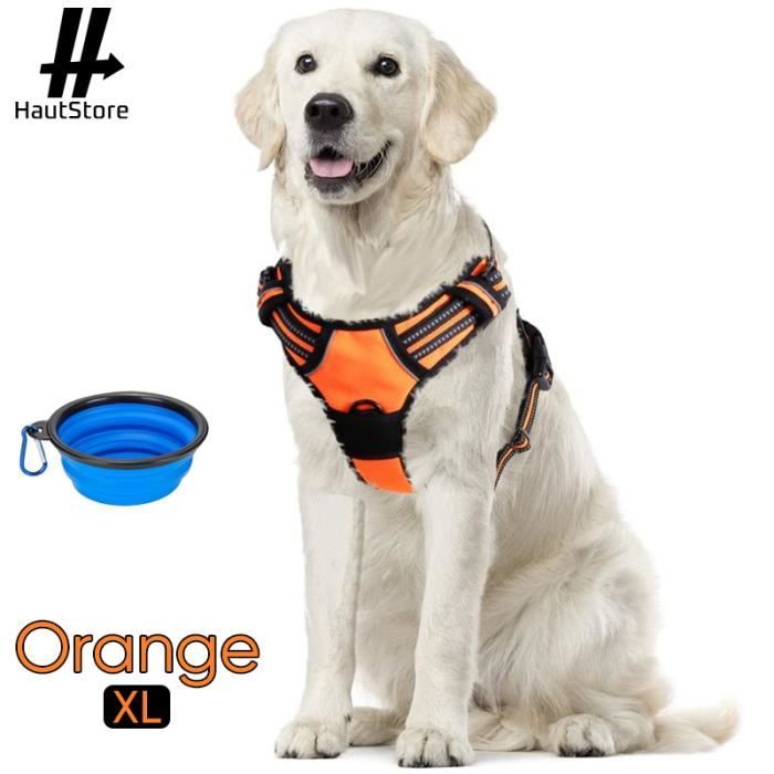 Harnais Chien / Harnais pour petit chien- Orange taille XL -- Anti Traction  Réglable Réfléchissant Matériau Respirant + Bol