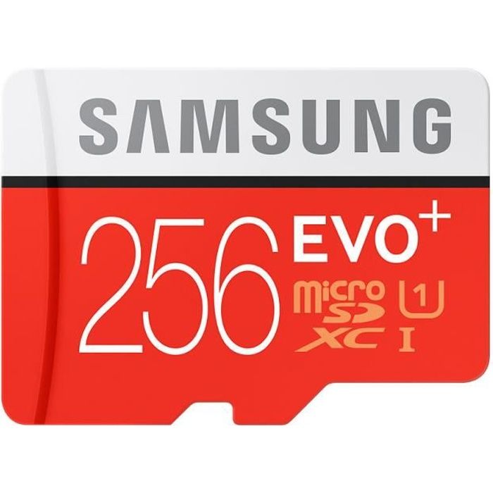 SAMSUNG Carte mémoire flash EVO Plus MB-MC256G - 256 Go - UHS-I U3 / Class10