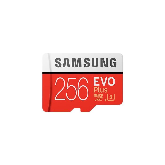 SAMSUNG Carte mémoire flash EVO Plus MB-MC256G - 256 Go - UHS-I U3 / Class10