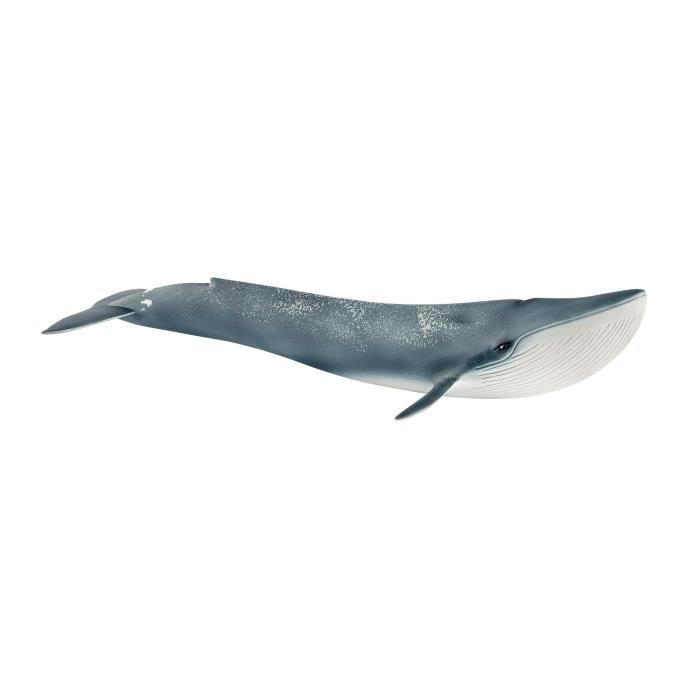schleich figurine baleine, 14806, bleu