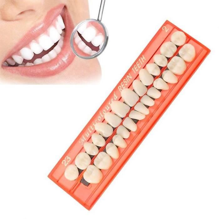 Dentier Complet Synthétique - Fausses Dents En Résine, Couleur Naturelle, Neuf