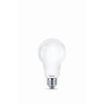 Philips Ampoule LED Equivalent 120W E27 Blanc froid Non Dimmable, verre-1