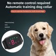 Collier intelligent et automatique Anti-aboiement pour chien, collier dressage chien, collier electrique chien, affichage numérique-3