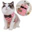 Chien Chat Tache Ronde De Protection Harnais Gilet Respirant Laisse Promenade Rose M Achat Vente Harnais Animal Chien Chat Tache Ronde De Cdiscount