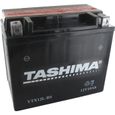 Batterie plomb étanche TASHIMA YTX12LBS 12 Volts 10A sans entretien Greenstar-0