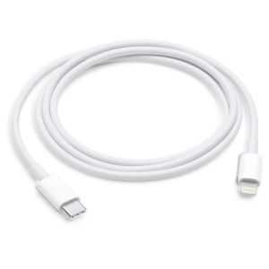 CÂBLE INFORMATIQUE Apple Câble Lightning vers USB-C Apple (1 m)