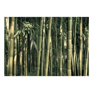 Bambou Nature Plantes Vert Papier Peint Nappes Papier peint XXL Graffiti 100203-7