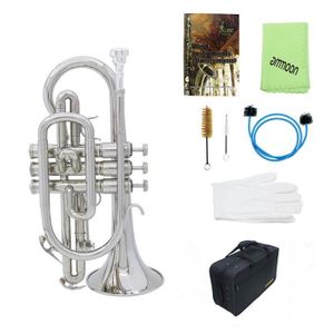 Cornet A Piston Embouchure Achat Vente Pas Cher