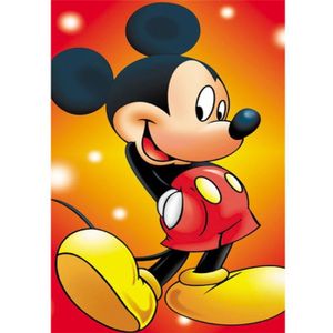 2.0 Products - Disney - Peinture par numéro adultes - Peinture par numéro -  40 x 50 CM