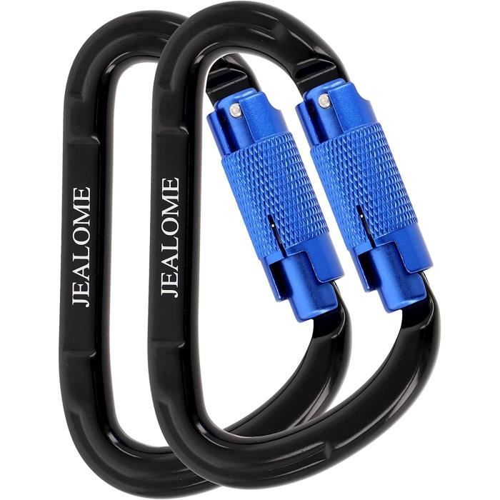 Lot De 4 Mousquetons Escalade 25kN – Acier Inoxydable Avec Fermoir à Vis, Argenté Robuste
