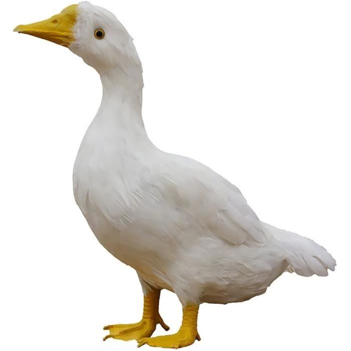 385039_5