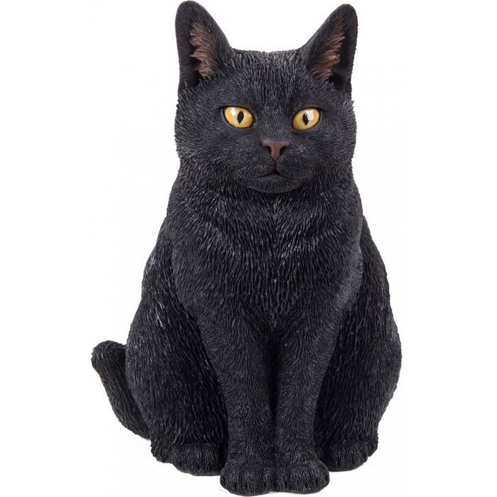 Chat Assis En Resine 29 Cm Noir Cdiscount Maison Chat Assis En Resine 29 Cm Noir Cdiscount Maison