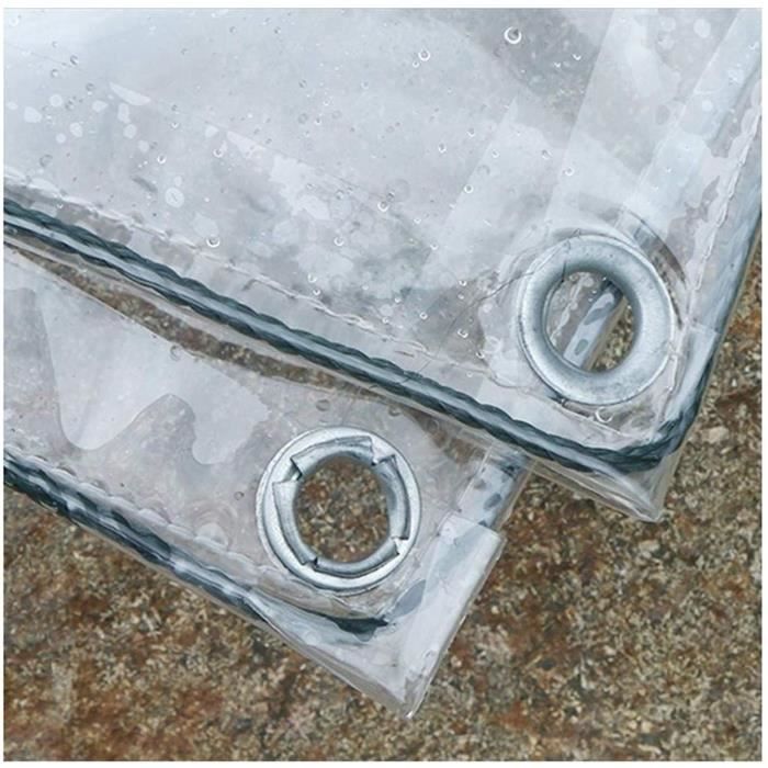 Bâche PVC Transparente GDMING 2x5m - Imperméable, Trous Brise-vent, œillets Renforcés - Extérieur/jardin
