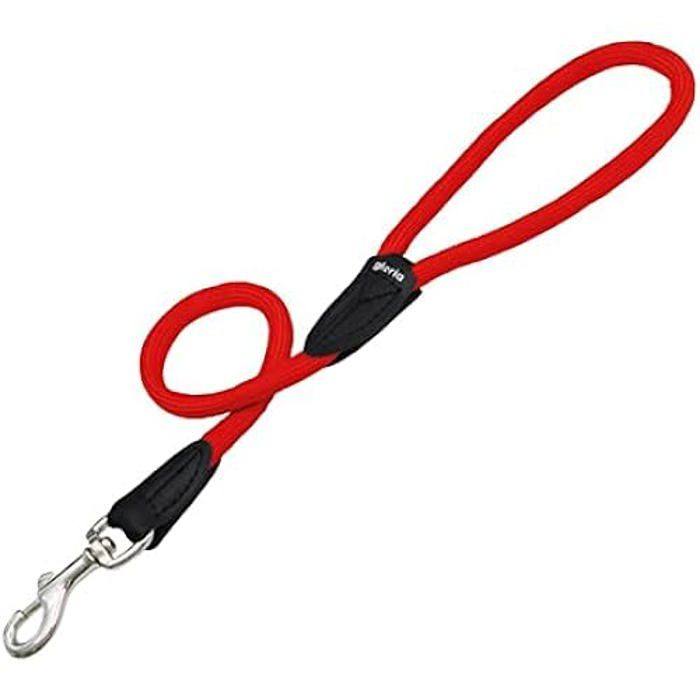 Meilleurs prix pour Laisse pour Chien Gloria 1 x 60 cm Rouge