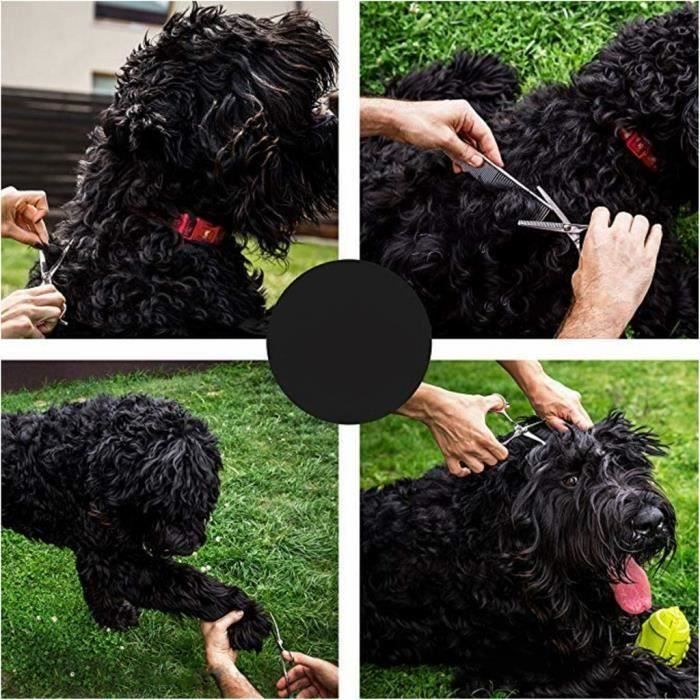 Lot De 5 Ciseaux à Attaches Pour Chevaux Et Chiens – Neuf