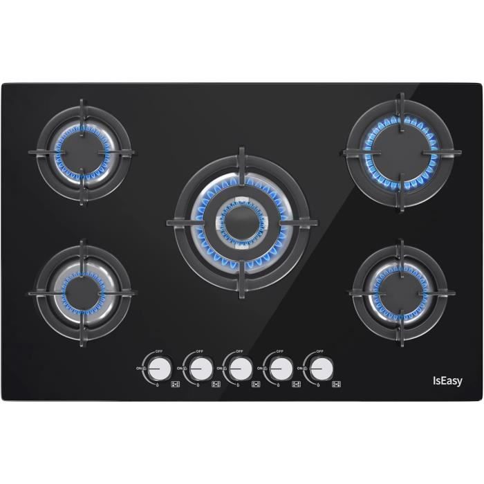 Barbecue Gaz Naturel Portable 5 Brûleurs - Puissance 2,5 KW Par Brûleur, Idéal Camping, Pêche, Extérieur - 4