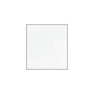 Winsor et Newton Artistes Aquarelle Titanium White Opaque (1) 14ml