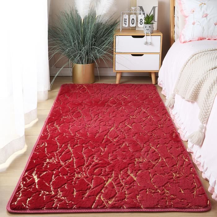 Types Rouge Tapis Rouge Or 80x160cm Rectangulaire Doux Peluche Tapis de Chambre ...