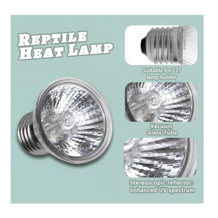 Lot De 8 Ampoules Chauffantes Terrarium 50W E27 - 220V - Pour Tortues, Lézards, Reptiles - Simulation Soleil Et Chaleur Naturelle - 2