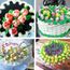 14 Pcs Russe Fleur Glacage Piping Gateau Decoration Nozzles Conseils De Cuisson Kit Outils Rme1145 Achat Vente Ustensiles Decoration 14 Pcs Russe Fleur Glacage Cdiscount 14 Pcs Russe Fleur Glacage Piping Gateau Decoration Nozzles Conseils De Cuisson Kit Outils Rme1145 Achat Vente Ustensiles Decoration 14 Pcs Russe Fleur Glacage Cdiscount